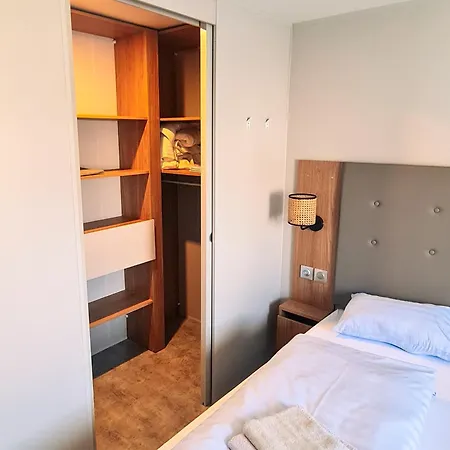 Tournesol - Camp La Belle Vie