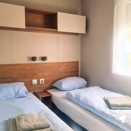 Tournesol - Camp La Belle Vie *