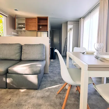 Tournesol - Camp La Belle Vie Kemp