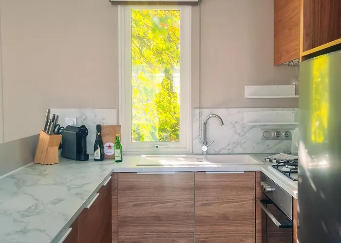 Tournesol - Camp La Belle Vie *