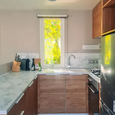 Tournesol - Camp La Belle Vie *