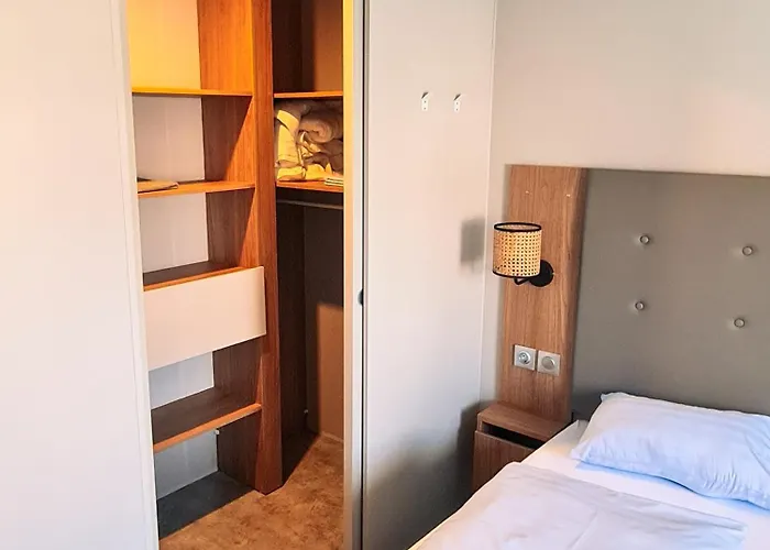 Tournesol - Camp La Belle Vie