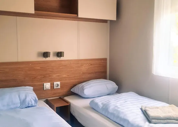 Tournesol - Camp La Belle Vie *